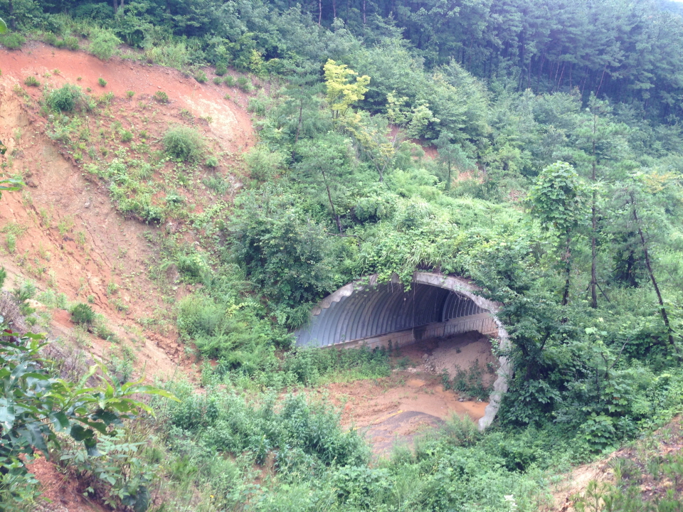 2013년8월 구일고개 생태터널 모습.
